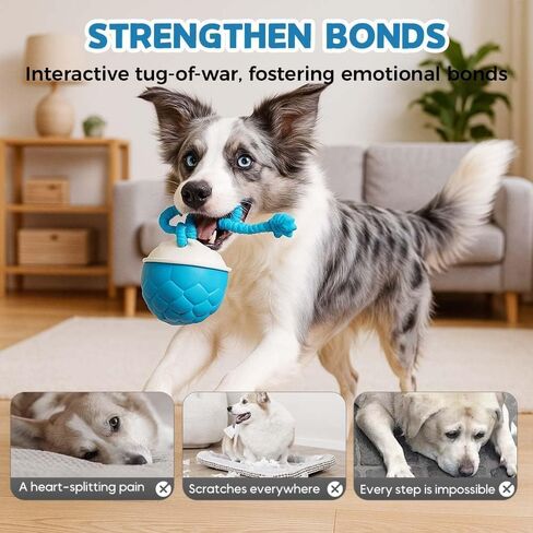Interactive Dog Toys Motion Activated Automatic Rolling Ball Toys for Small/Medium/Large Dogs Balls for Boredom to Keep Them Busy with USB Rechargeable(Blue) in Saudi Arabia