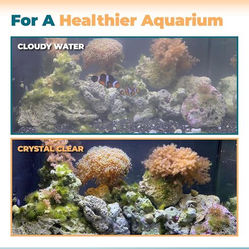 ANTOBLE Aquarium Filter Media, 3 Set Foam Filter Block A1376 Carbon Refills Ceramic Rings Compatible with Fluval Flex EVO SPEC Betta Desktop Aquarium Series (Includes 2 Brushes) in Saudi Arabia