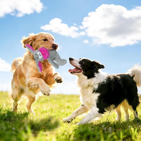 ألعاب صرير للكلاب، ألعاب مضغ قطيفة للكلاب الكبيرة، ذيل حيوانات محشوة مجعدة، أيدي، آذان، ألعاب تفاعلية تصدر صريرًا للكلاب الصغيرة والمتوسطة، تبقيهم مشغولين، وليس للكلاب المضغية العدوانية in Kuwait