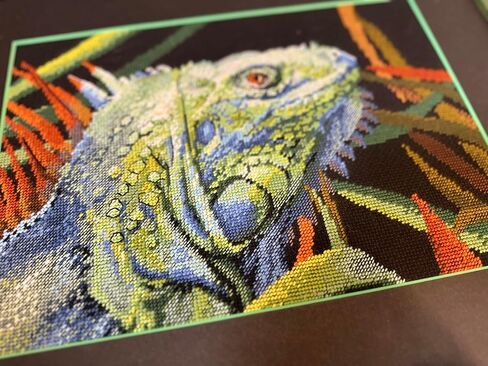RIOLIS - Iguana 2192، مجموعات غرز متقاطعة للحيوانات مقاس 11¾ بوصة × 8¼، مجموعات غرز متقاطعة للمبتدئين والمتقدمين، مجموعة خياطة متقاطعة للبالغين، مجموعة خياطة مطرزة in Kuwait