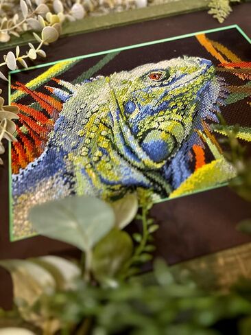 RIOLIS - Iguana 2192، مجموعات غرز متقاطعة للحيوانات مقاس 11¾ بوصة × 8¼، مجموعات غرز متقاطعة للمبتدئين والمتقدمين، مجموعة خياطة متقاطعة للبالغين، مجموعة خياطة مطرزة in Kuwait