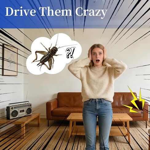 مزحة صانع ضوضاء الكريكيت (6 عبوات) - أجهزة مزحة مخفية طويلة الأمد للمكتب والمنزل وكذبة أبريل وهدايا الكمامة والمقالب المضحكة للبالغين in Saudi Arabia
