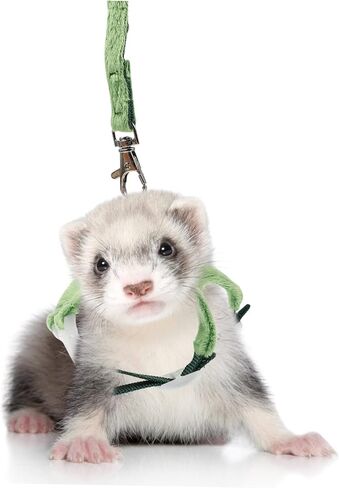 Dinosaur PET Harness and Leash for Small Animals Adjustable Vest Random Color Bell Wear-Resistant Ferret Walking Rope for Kittens and Small Pets in Saudi Arabia