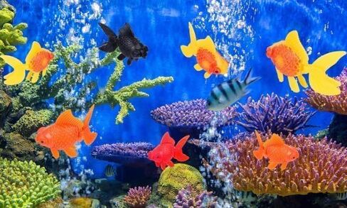 6 Pcs Orange Fake Floating Fishes Plastic Fake Goldfish Artificial Aquarium Fishes Colorful Realistic Artificial Moving Fish Ornament Decorations, Aquarium Décor Thematic Ornaments in Kuwait