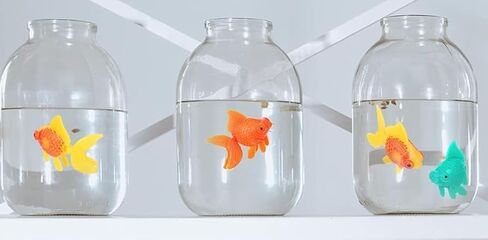 6 Pcs Orange Fake Floating Fishes Plastic Fake Goldfish Artificial Aquarium Fishes Colorful Realistic Artificial Moving Fish Ornament Decorations, Aquarium Décor Thematic Ornaments in Kuwait