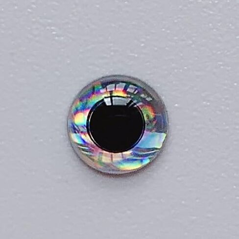 100Pcs 6mm 3D Holographic Eyes, Plastic Fishing Lure Accessories for Fly Tying Craft Dolls, Eye Pins Accessories in Saudi Arabia