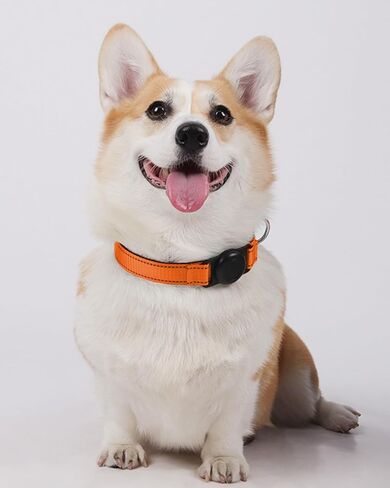 Reflective Adjustable Dog Cat Collar with Tag Holder, Soft Nylon Pet Collar for Dogs and Cat Pink DJA689-02L in Saudi Arabia