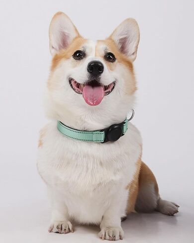 Reflective Adjustable Dog Cat Collar with Tag Holder, Soft Nylon Pet Collar for Dogs and Cat Pink DJA689-02L in Saudi Arabia