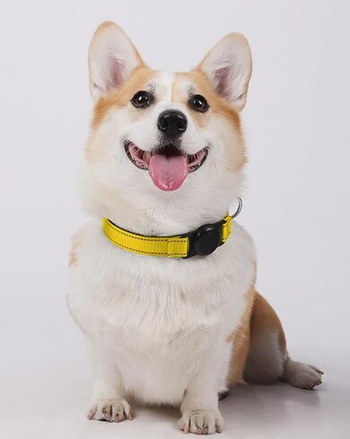 Reflective Adjustable Dog Cat Collar with Tag Holder, Soft Nylon Pet Collar for Dogs and Cat Pink DJA689-02L in Saudi Arabia