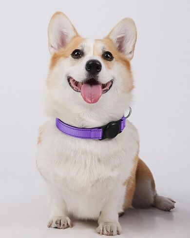 Reflective Adjustable Dog Cat Collar with Tag Holder, Soft Nylon Pet Collar for Dogs and Cat Pink DJA689-02L in Saudi Arabia