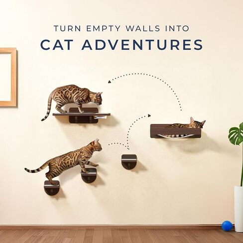 Space-Saving Cat Wall Shelves – Interactive Cat Wall Climber with Hammock & Dog Proof Feeding Station for Small & Medium Indoor Breeds – Solid Walnut Wood with Beige Carpet in Saudi Arabia