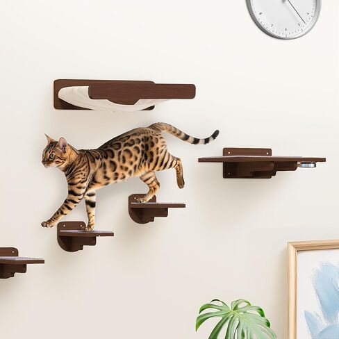 Space-Saving Cat Wall Shelves – Interactive Cat Wall Climber with Hammock & Dog Proof Feeding Station for Small & Medium Indoor Breeds – Solid Walnut Wood with Beige Carpet in Saudi Arabia