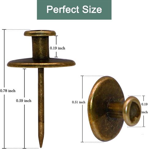 30 PCS Push Pins Picture Hanger Hooks, Double Headed Nails Push Pin Thumbtacks for Wall Hangings Picture, Decorative Small Hook Pins for Drywall Cork Board Home Office Photo Decorations (Bronze) in Saudi Arabia