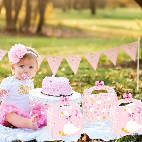 CANDY CHEF Silly Goose Birthday Party Treat Boxes Goose Theme Party Supplies Pink Gingham with Bow Goose Favor Box for Geese Theme Gift Boxes Farm Baby Shower Birthday Decorations in Saudi Arabia