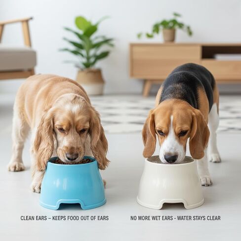2pcs Long Eared Dog Bowl (Blue & White) - Spaniel Bowls for Dogs Long Ears,No-Spill Food & Water Bowls for Cocker Spaniels, Beagles, Non-Slip, Easy to Clean in Kuwait