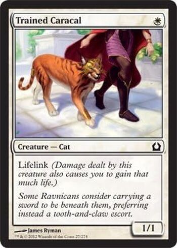 Magic: the Gathering - Trained Caracal (27) - Return to Ravnica in Saudi Arabia