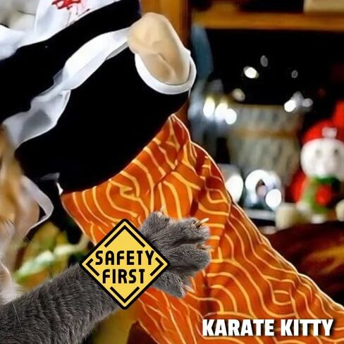Cat Karate Kitty Puppet Cat Wrestling Puppet with Protective Forearm Sleeve, Cat Hand Biting for Play Karate Kitten Toy Interactive Boxing with Arm Wrestling in Saudi Arabia