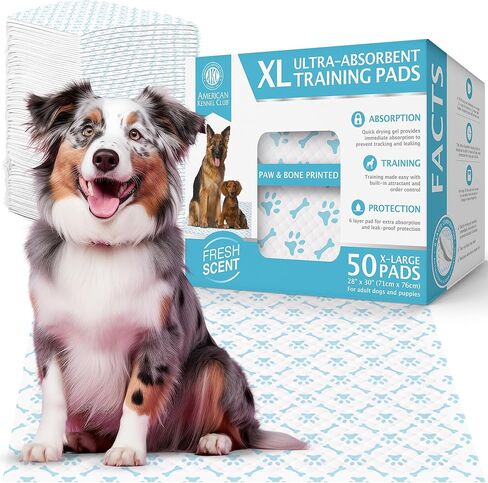 American Kennel Club Paw and Bone Training Pads for Dogs, 100 Count, 22" X 22" Fresh Scented, Absorbent Leak-Proof Dog Pee Pads in Box, Pink in Saudi Arabia