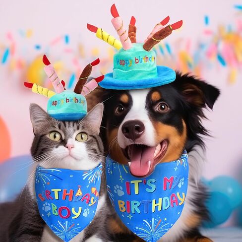 Dog Birthday Party Supplies, Blue Dog Boy Girl Birthday Set Includes Hat Bandana and Photo Frame for Small, Medium, Large Pets Puppy in Saudi Arabia