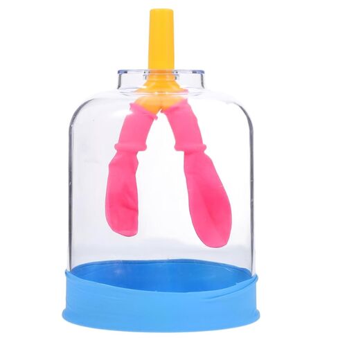 Mobestech Lung Breathing Model for Diaphragm Movement Simulation Human Lung Function Model for Medical Education and Research Compact Transparent Design for Easy Transport in Saudi Arabia