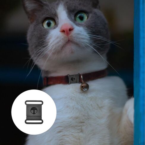 100pcs Plastic Safty Breakaway Bra Buckle Cat Dog Collar Harness Strap Parts Accessories Black in Saudi Arabia