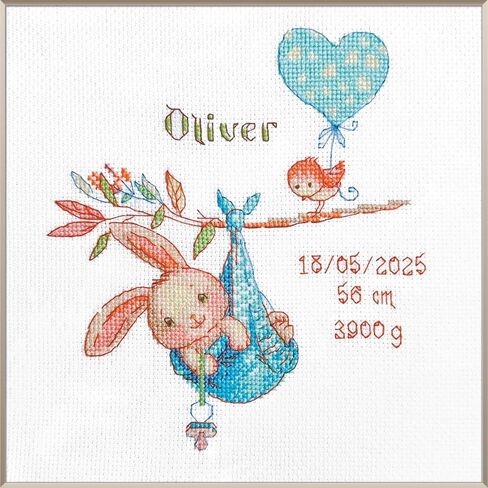 Aine - Boy Birth Sampler A1028، مجموعة غرز متقاطعة لإعلان ولادة طفل رضيع مقاس 7¾ بوصة × 7¾، مجموعات غرز متقاطعة للمبتدئين والمتقدمين، طقم خياطة متقاطعة للبالغين، مجموعة خياطة عد التطريز in Kuwait