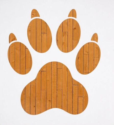 Lion Stencil – Wildlife Animal Art Stencil for Painting, Crafting and DIY Projects (3 Pcs Set) in Saudi Arabia
