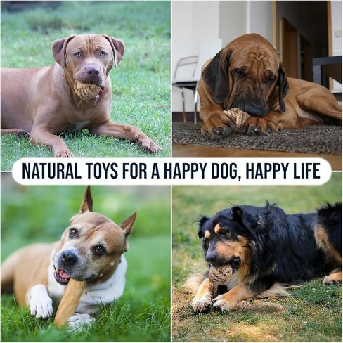 3 قطع من ألعاب مضغ الكلاب المصنوعة من خشب القهوة الطبيعي وكرة القنب للكلاب الكبيرة والكبيرة جدًا التي يزيد وزنها عن 70 رطلاً - ألعاب عضوية 100% لتنظيف الأسنان، وتقليل التوتر، والتحفيز العقلي in Kuwait