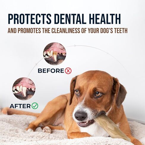 3 قطع من ألعاب مضغ الكلاب المصنوعة من خشب القهوة الطبيعي وكرة القنب للكلاب الكبيرة والكبيرة جدًا التي يزيد وزنها عن 70 رطلاً - ألعاب عضوية 100% لتنظيف الأسنان، وتقليل التوتر، والتحفيز العقلي in Kuwait