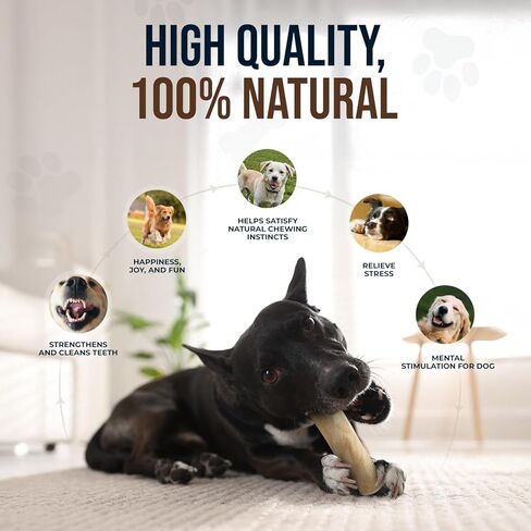 3 قطع من ألعاب مضغ الكلاب المصنوعة من خشب القهوة الطبيعي وكرة القنب للكلاب الكبيرة والكبيرة جدًا التي يزيد وزنها عن 70 رطلاً - ألعاب عضوية 100% لتنظيف الأسنان، وتقليل التوتر، والتحفيز العقلي in Kuwait