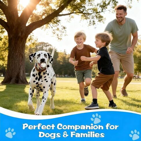 Indestructible Dog Chew Toy for Aggressive Chewers,Ball for Pit Bull,Soft Balls for Dogs Interactive Dog Ball,Durable ETPU Toy for Large Medium Small Dogs in Saudi Arabia