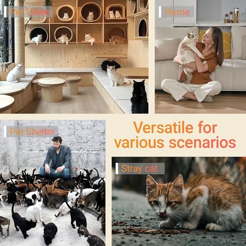 100 Pack Disposable Cat Food Bowls, Paper Pet Food Bowl for Travel, Small Paper Bowls Suitable for Dry Food, Wet Food and Water, 0.25 Pound Disposable Bowls for Stray Cats, Dogs Feeding Station in Saudi Arabia