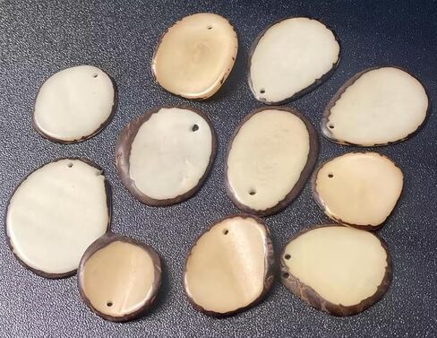 Tagua Mini Chips - Slices. 20 Beads | Vegetable Ivory Nut from Colombia, Corozo, Top drilled, Size: 2 x 2 cm. Natural Jewelry Supplies in Saudi Arabia