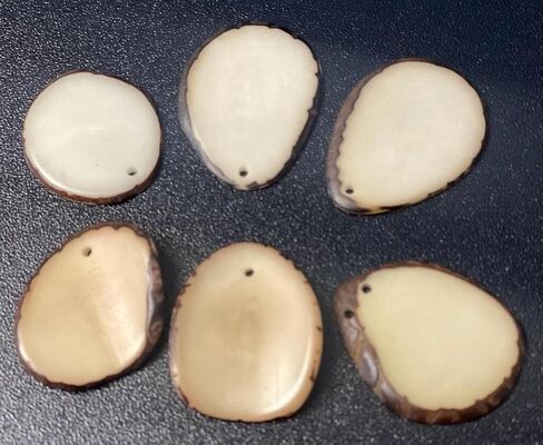 Tagua Mini Chips - Slices. 20 Beads | Vegetable Ivory Nut from Colombia, Corozo, Top drilled, Size: 2 x 2 cm. Natural Jewelry Supplies in Saudi Arabia