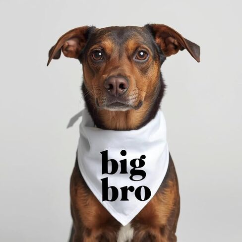 Big Bro Dog Bandana إعلان حمل الطفل، وشاح للحيوانات الأليفة، علامة Brother، قطن أبيض، جرو جديد حامل (صغير) in Kuwait