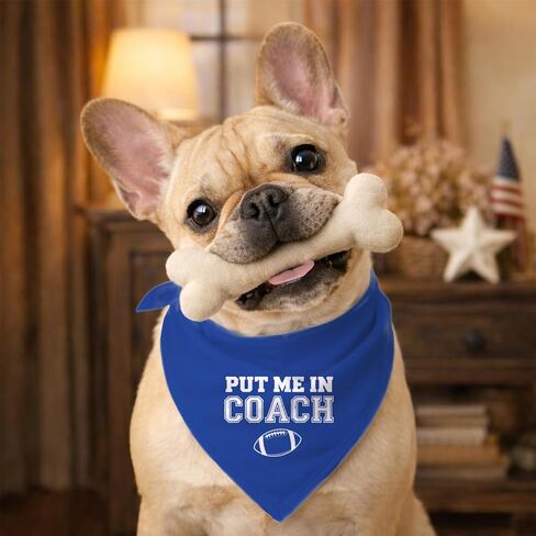 Put Me in Coach Dog Bandana, Funny Sport Themed Adjustable Triangle Dog Scarf, Football Game Day Pet Bandana for Small Medium Dogs, Football Game Pet Accessories in Kuwait