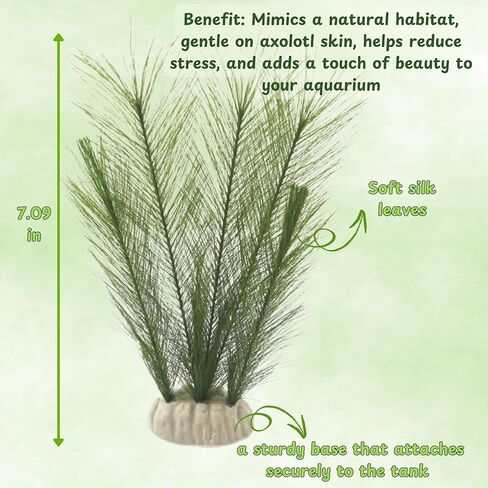 Axolotl Hide Tube and Silk Plants for Aquarium, Axolotl Cave and Aquatic Plant Set, Axolotls Hides and Green Plants, Aquarium Decor, Fish Tank Decorations, Turtle Tank Accessories (White, 11 * 3.5in) in Saudi Arabia
