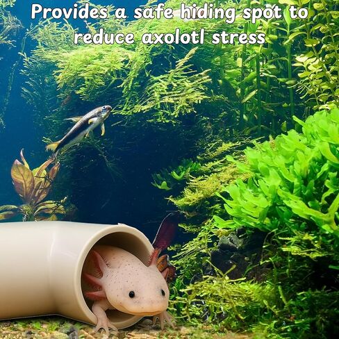 Axolotl Hide Tube and Silk Plants for Aquarium, Axolotl Cave and Aquatic Plant Set, Axolotls Hides and Green Plants, Aquarium Decor, Fish Tank Decorations, Turtle Tank Accessories (White, 11 * 3.5in) in Saudi Arabia