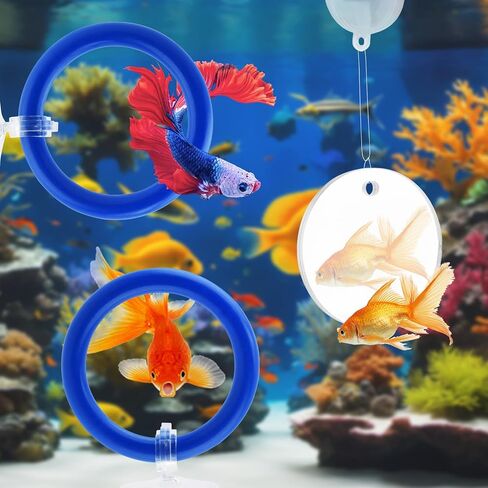 2pcs Bettas Fish Enrichment Toys Ring, with Mirror/Floating Ball, Exercise Floating Mirrors and Training Ring for Fish Tank, Aquarium Feeding Rings Accessories in Saudi Arabia
