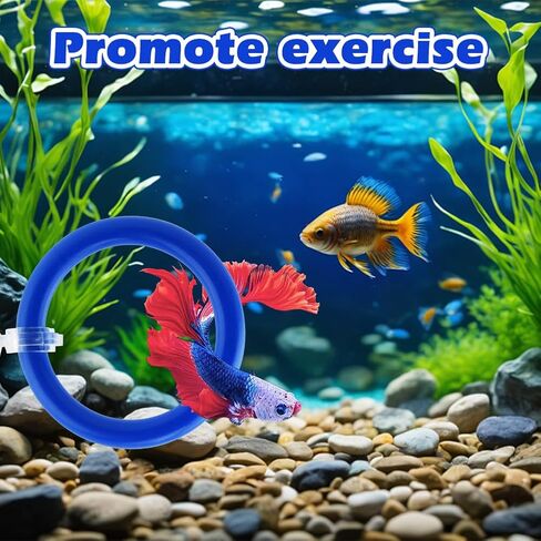 2pcs Bettas Fish Enrichment Toys Ring, with Mirror/Floating Ball, Exercise Floating Mirrors and Training Ring for Fish Tank, Aquarium Feeding Rings Accessories in Saudi Arabia
