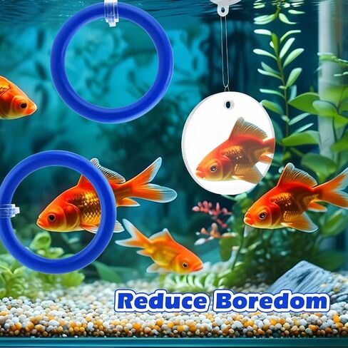 2pcs Bettas Fish Enrichment Toys Ring, with Mirror/Floating Ball, Exercise Floating Mirrors and Training Ring for Fish Tank, Aquarium Feeding Rings Accessories in Saudi Arabia