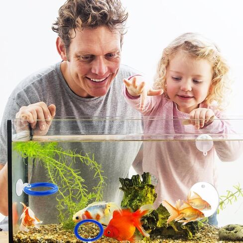 2pcs Bettas Fish Enrichment Toys Ring, with Mirror/Floating Ball, Exercise Floating Mirrors and Training Ring for Fish Tank, Aquarium Feeding Rings Accessories in Saudi Arabia