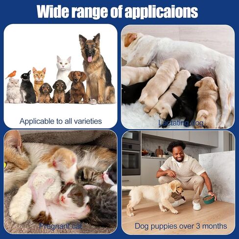 JoanofArc Dog Wound Care Hydro Gel، يشفي الجروح، جل العناية بجروح القطط، يساعد في الجروح والعضات والإصابات أثناء القتال والخدوش والإصابات أثناء تقليم الأظافر، جل العناية اليومية اللطيفة، 0.68 أونصة سائلة in Kuwait