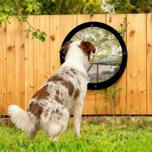 2 Pack Dog Fence Window, 12.4 Inch Clear Pet Dome, Transparent Plastic Pet Peek Window for Playground, Doggie Fence Domes, Supplies for Dog Cat Horse, 12.4 x 4.9 Inch (Clear) in Saudi Arabia