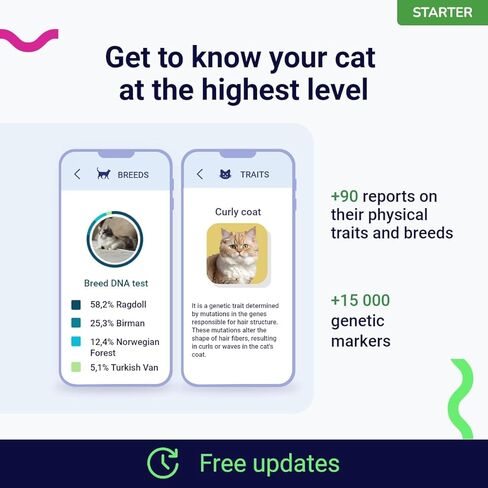Starter DNA Test for Cats, Analyzes & Identifies 40+ Breeds and Offers 46+ Genetic Traits and Family Tree Reports, Lifetime Updates Included in Saudi Arabia