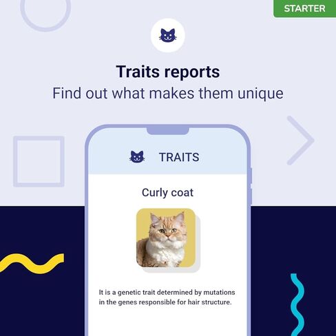 Starter DNA Test for Cats, Analyzes & Identifies 40+ Breeds and Offers 46+ Genetic Traits and Family Tree Reports, Lifetime Updates Included in Saudi Arabia