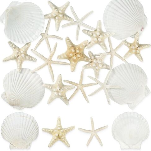 peony man 16 Pcs Natural Scallop Shells and Starfish 5 Inch White Sea Shell for Crafts and 3.5-4 Inch Beach Starfish for Beach Theme Wedding Party Home Decorations Fish Tank Vase Filler DIY Crafts in Saudi Arabia