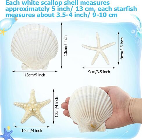 peony man 16 Pcs Natural Scallop Shells and Starfish 5 Inch White Sea Shell for Crafts and 3.5-4 Inch Beach Starfish for Beach Theme Wedding Party Home Decorations Fish Tank Vase Filler DIY Crafts in Saudi Arabia