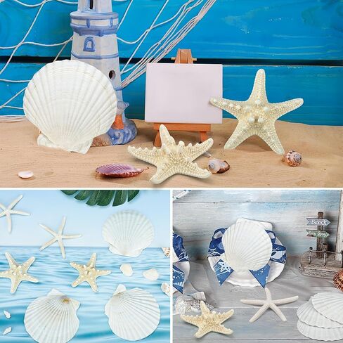 peony man 16 Pcs Natural Scallop Shells and Starfish 5 Inch White Sea Shell for Crafts and 3.5-4 Inch Beach Starfish for Beach Theme Wedding Party Home Decorations Fish Tank Vase Filler DIY Crafts in Saudi Arabia
