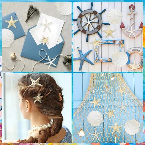 peony man 16 Pcs Natural Scallop Shells and Starfish 5 Inch White Sea Shell for Crafts and 3.5-4 Inch Beach Starfish for Beach Theme Wedding Party Home Decorations Fish Tank Vase Filler DIY Crafts in Saudi Arabia